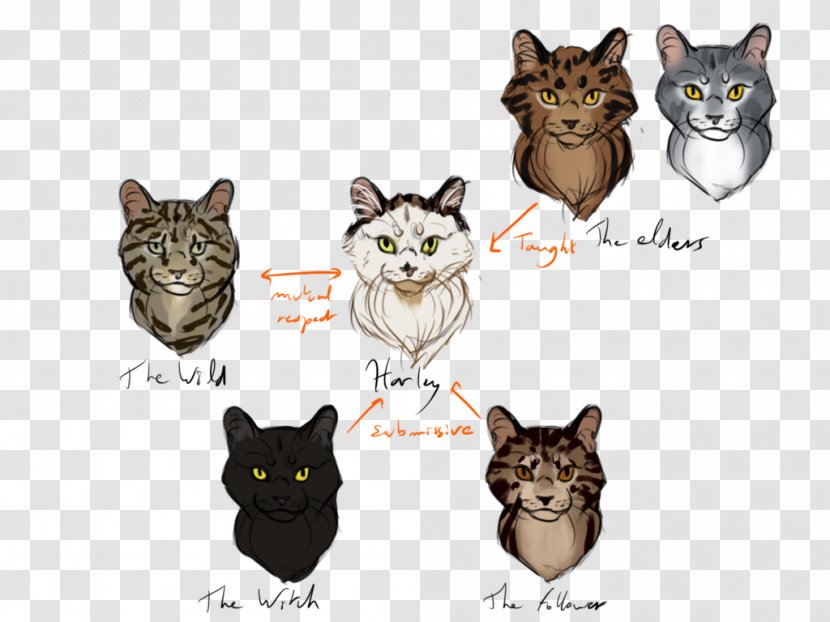 Whiskers Cat Digital Art Drawing Transparent PNG