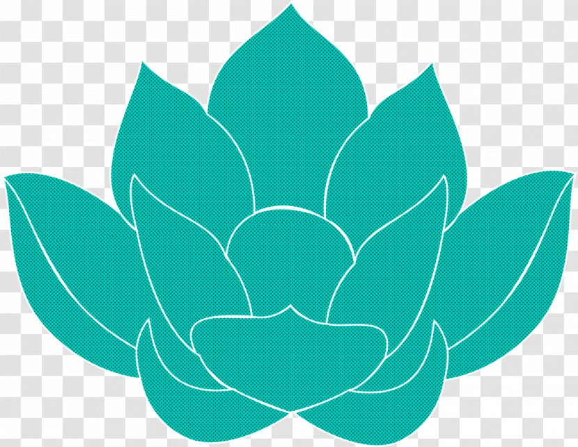 Lotus - Green - Aquatic Plant Transparent PNG