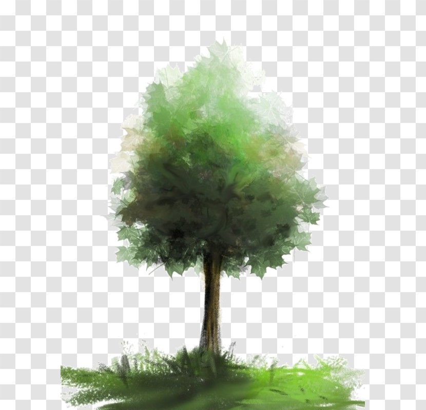 Watercolor Painting Brush Tree - Aquarell Transparent PNG