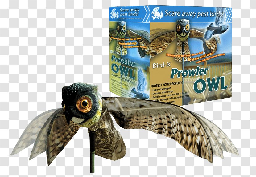 Owl Bird Scarer Decoy Control - Ornament Transparent PNG