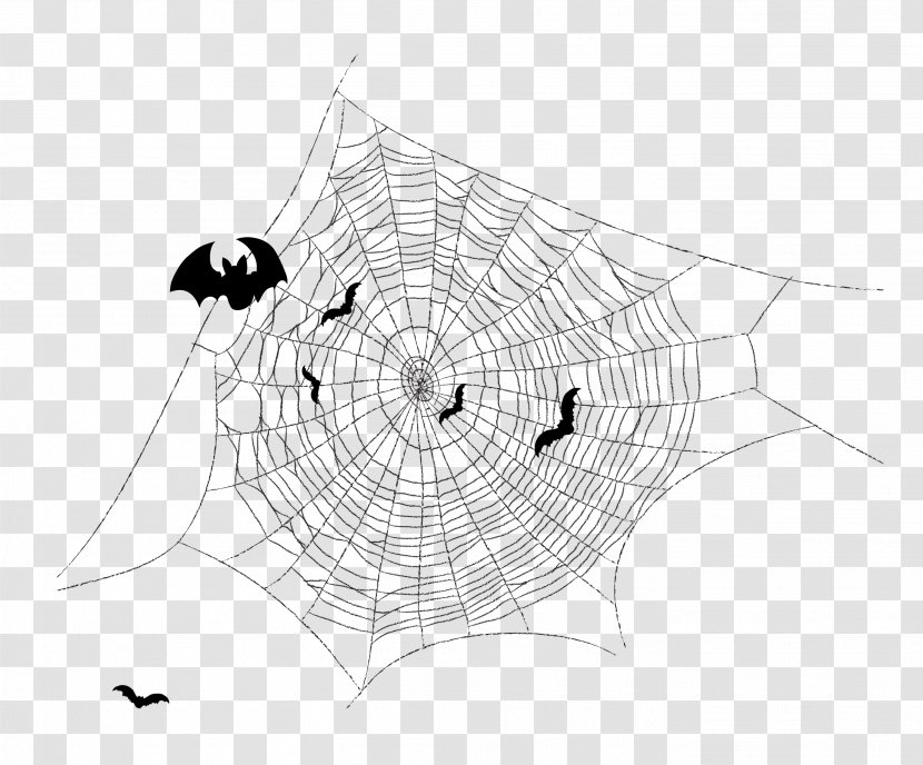 Spider Web - Invertebrate - Cartoon Painted Material Transparent PNG