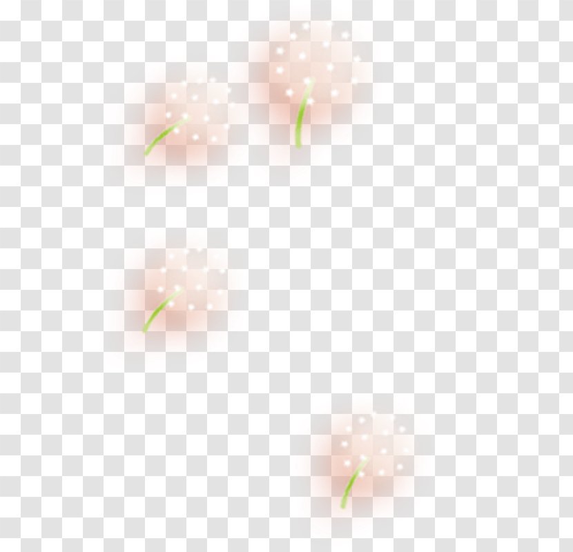 Icon - White - Cartoon Cute Dandelion Plant Transparent PNG