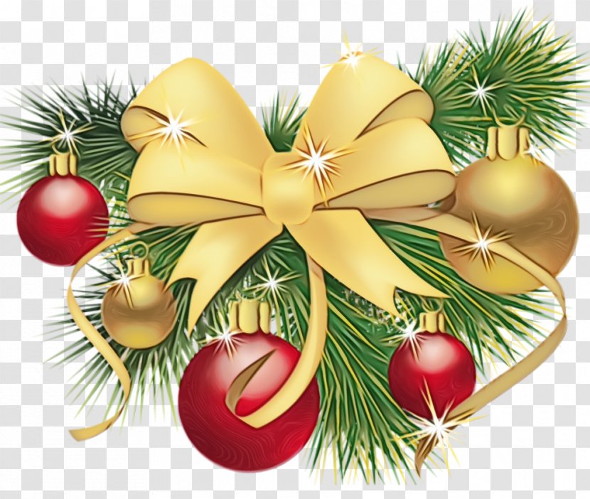 Christmas Ornament - Watercolor - Branch Conifer Transparent PNG