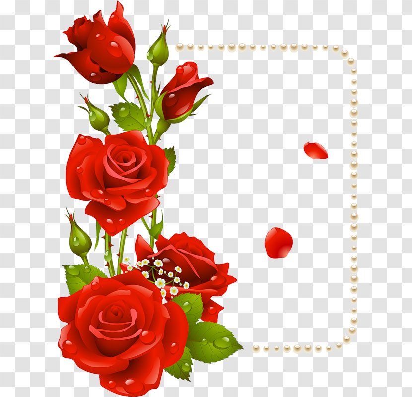 Picture Frames Flower Rose Clip Art - Petal Transparent PNG