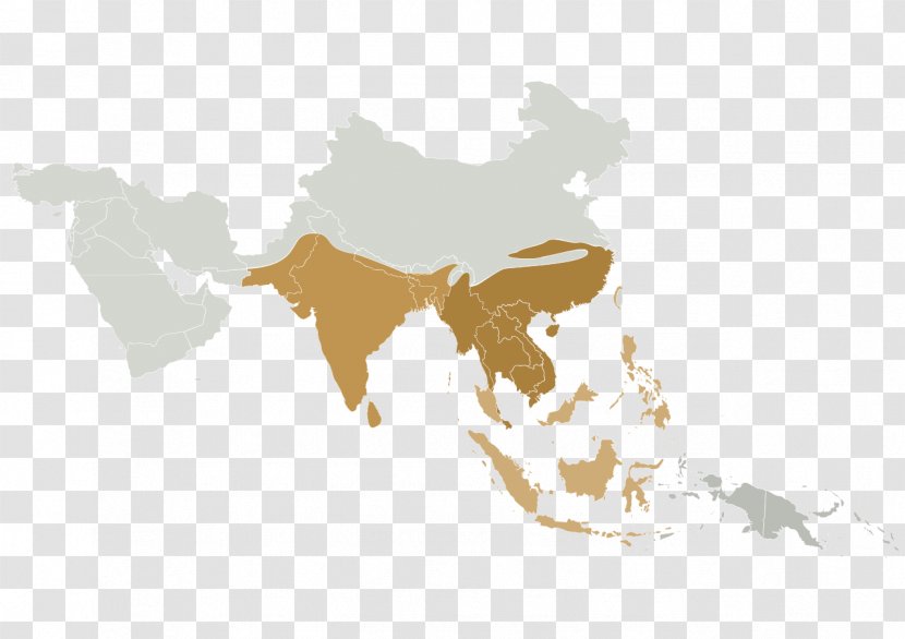 Asia Blank Map Globe Cartography - Physische Karte Transparent PNG