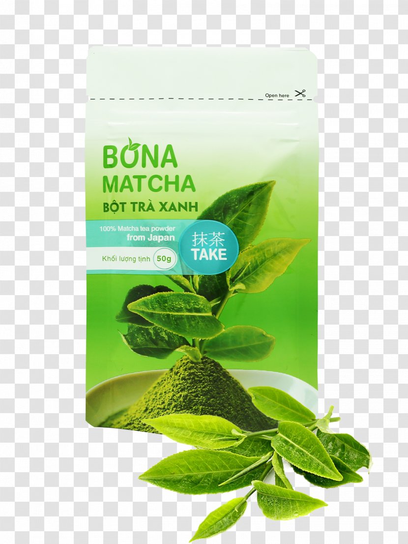 Green Tea Genmaicha Matcha Hōjicha - Coffee Transparent PNG