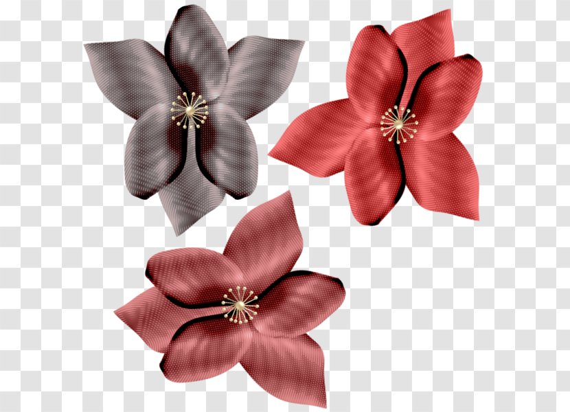 Flower Painting Blume Petal Photograph - Desin Element Transparent PNG
