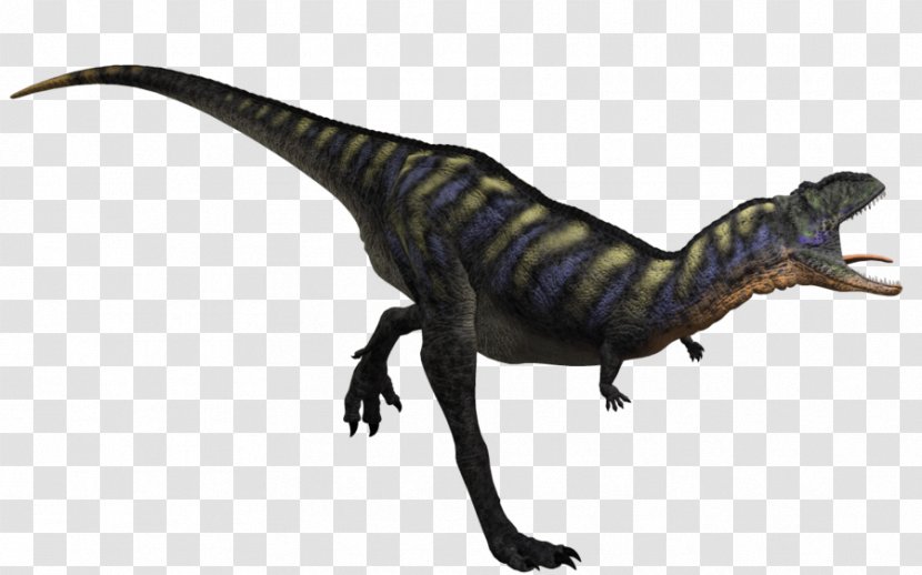 Velociraptor Aucasaurus Tyrannosaurus Apatosaurus Anchisaurus - Kingkong Transparent PNG