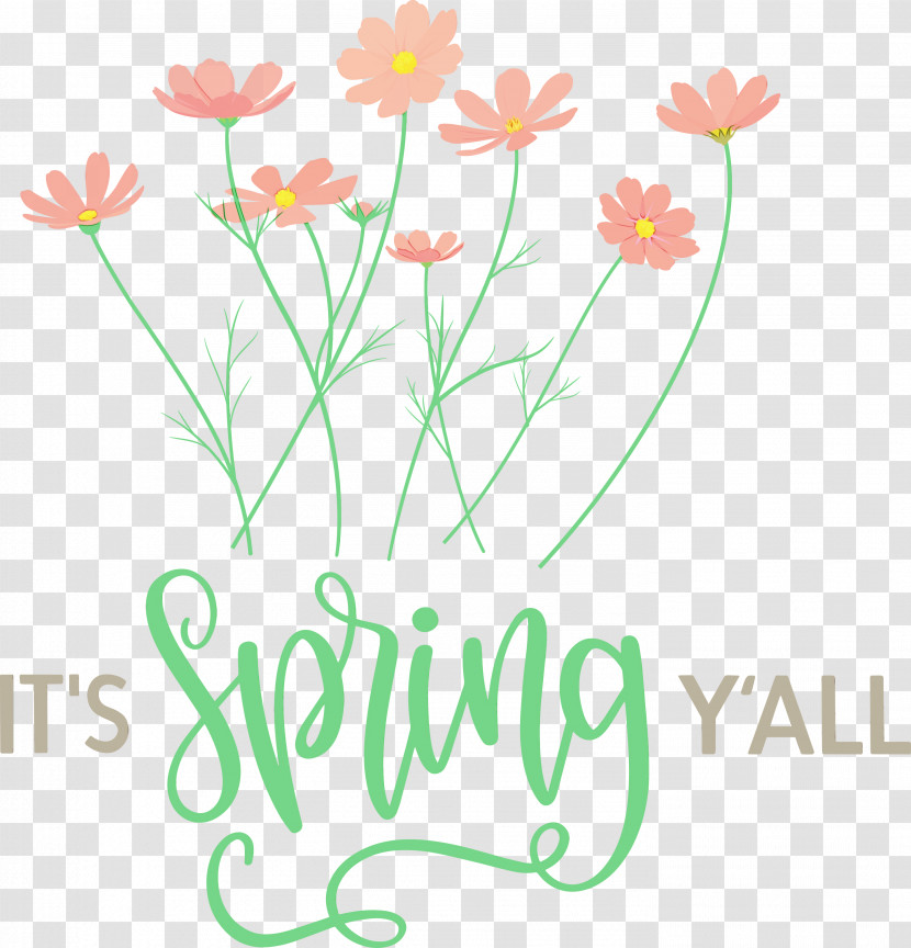 Floral Design Transparent PNG