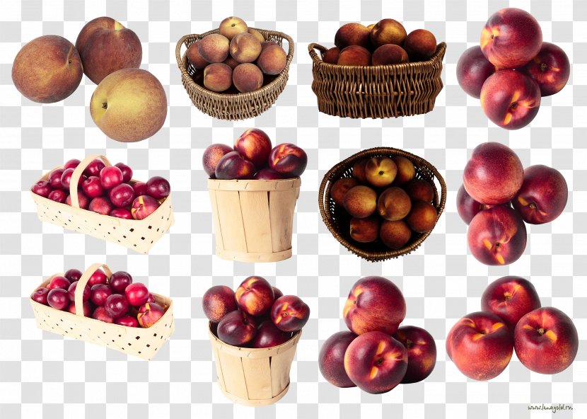 Nectarine Apricot Food Cerasus Cranberry - Fruit Transparent PNG