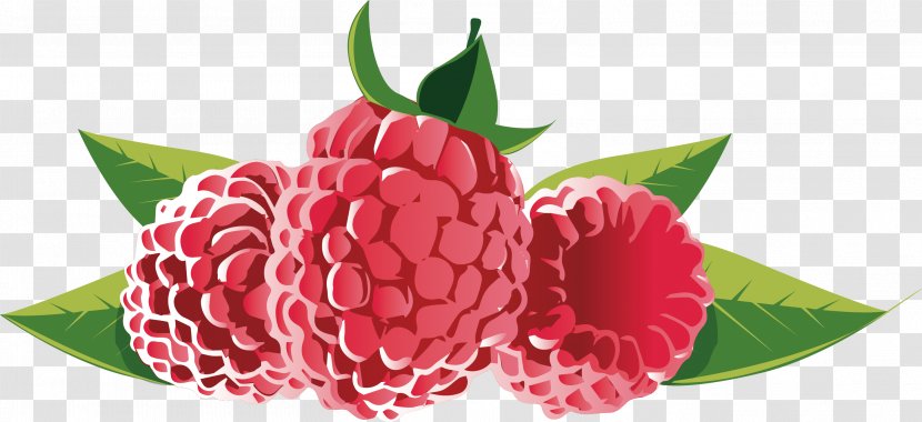 Strawberry European Blueberry Fruit - Red - Loganberry Decorative Advertising Element Transparent PNG