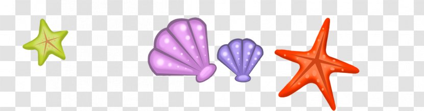 Starfish Seashell Biology Euclidean Vector - Joint - Conch Shell Transparent PNG