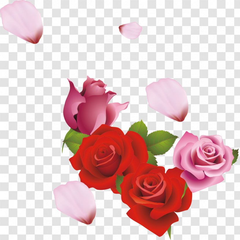 Garden Roses Centifolia Beach Rose Flower - Magenta - Sea Creative Transparent PNG