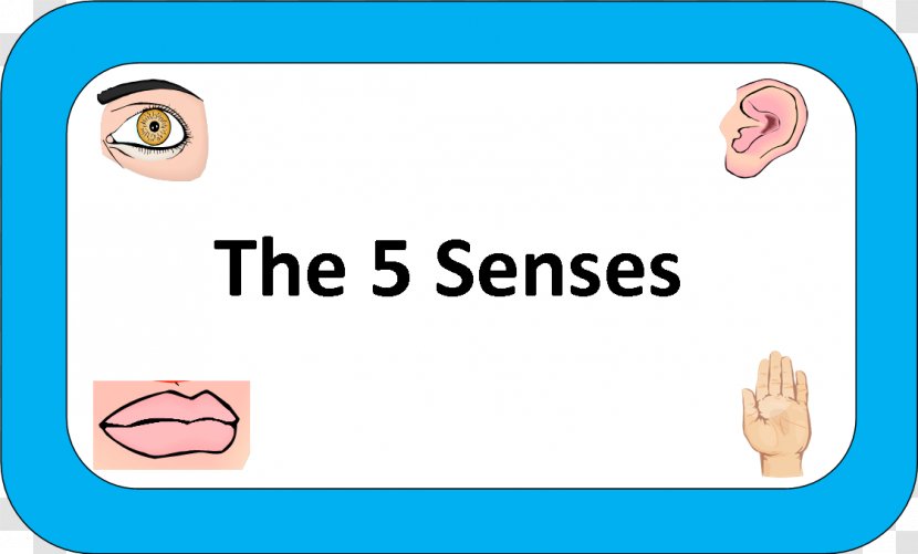The Five Senses Eye Taste Game - Tree Transparent PNG
