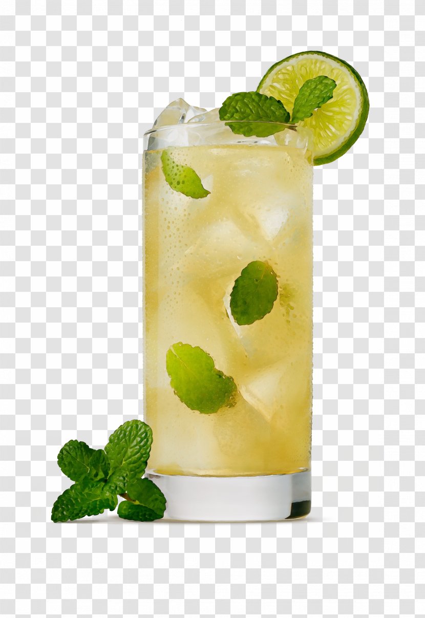 Lemon - Drink - Ingredient Paloma Transparent PNG