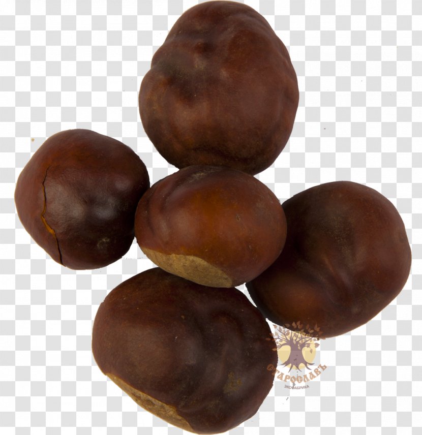 European Horse-chestnut Hazelnut Praline - Nuts - Chestnut Transparent PNG