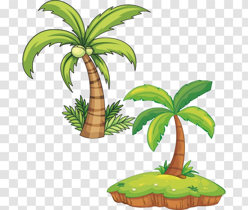 Plant Royalty-free Arecaceae Illustration - Tree - Beach Vector Transparent PNG