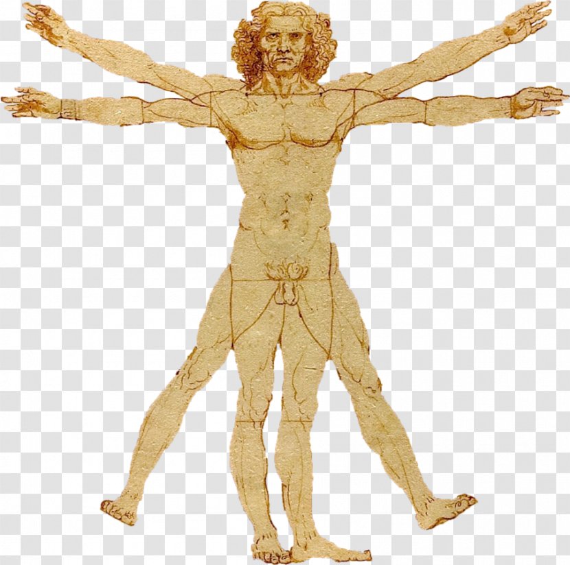 Vitruvian Man Lady With An Ermine Gallerie Dell'Accademia De Architectura Golden Ratio - Steve Borden Transparent PNG