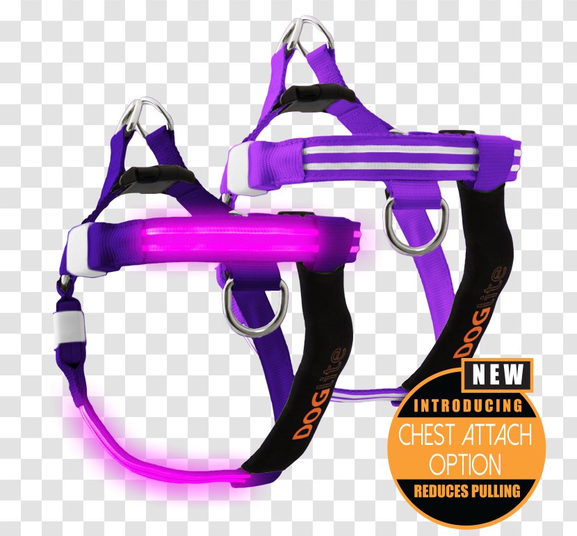 Dog Harness Blue Leash Pet - Gun Transparent PNG