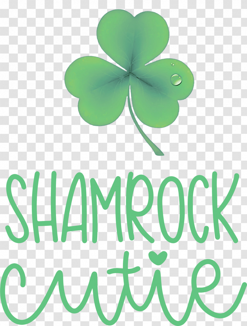 Shamrock St Patricks Day Saint Patrick Transparent PNG