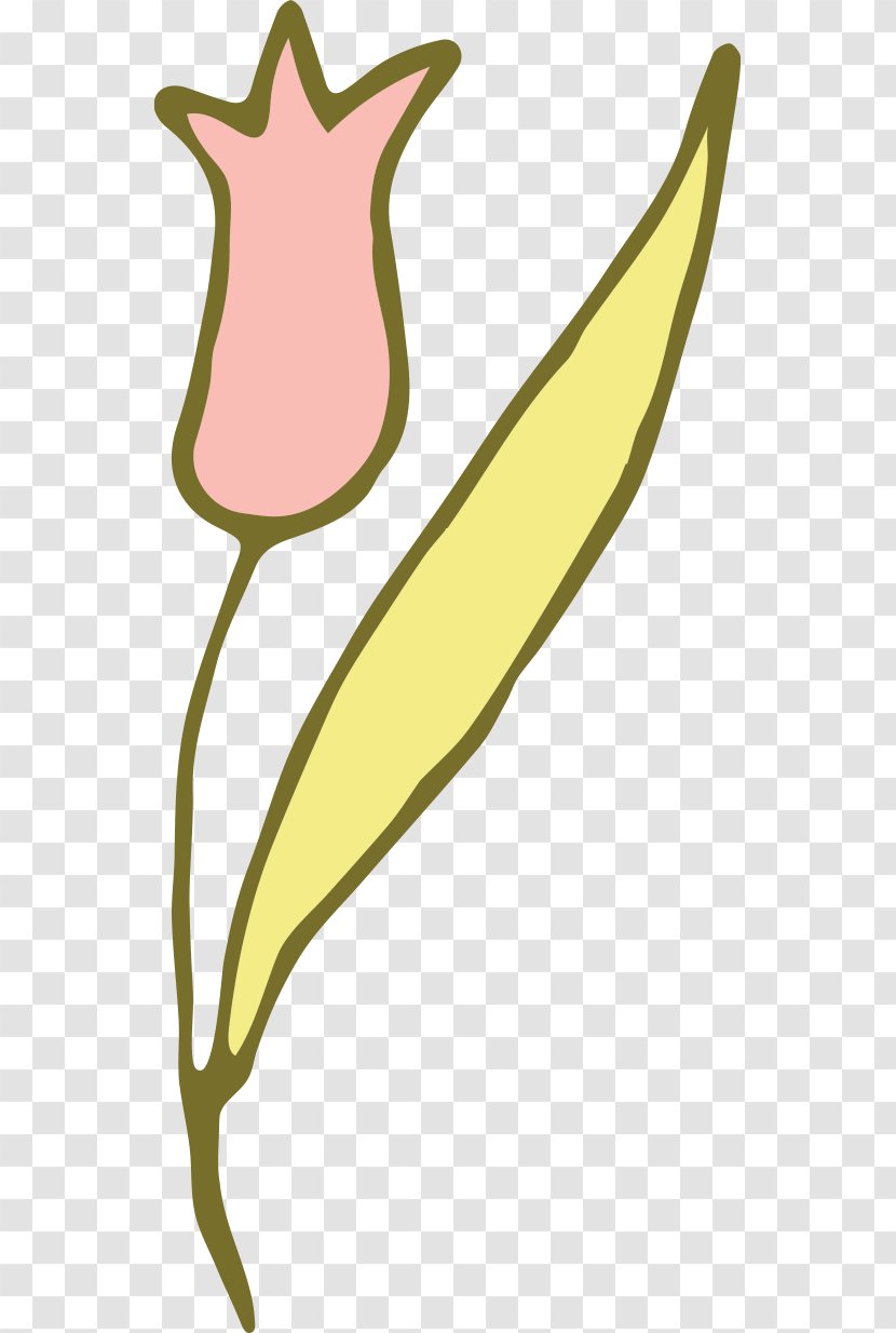 Tulip Clip Art - Organism Transparent PNG