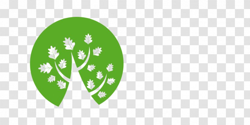 Tree Sessile Oak - Leaf Transparent PNG