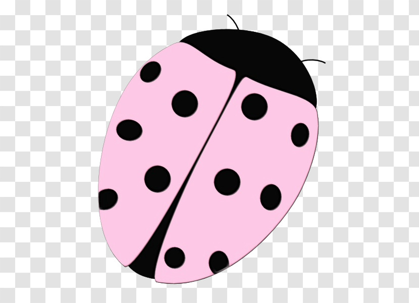 Insects Ladybugs Pattern Science Biology Transparent PNG