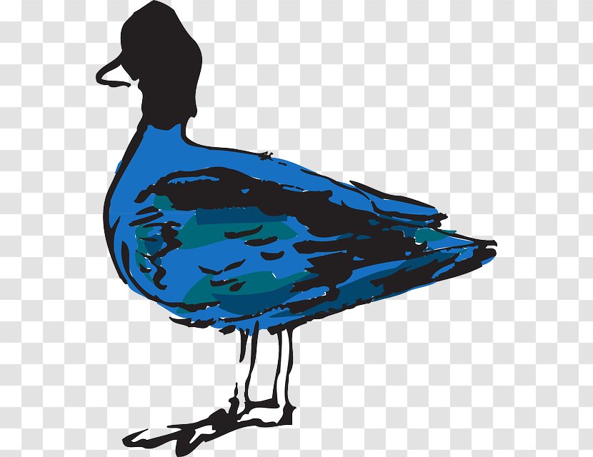 Duck Bird Clip Art - Blue Transparent PNG