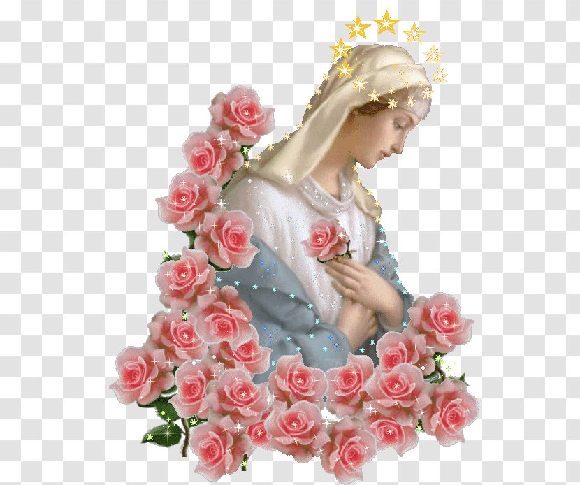 Immaculate Heart Of Mary Garden Roses Help Christians Madonna - Floristry Transparent PNG
