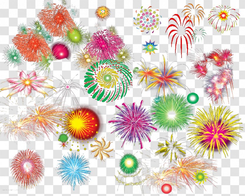Fireworks Download - Petal - Color Bright Transparent PNG