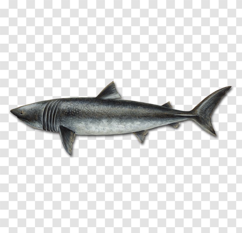 Sardine Oily Fish Coho Salmon 09777 Mackerel - Bony - Shark Transparent PNG