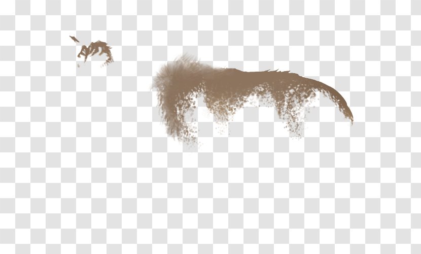 Canidae Dog Tail Mammal Wildlife Transparent PNG