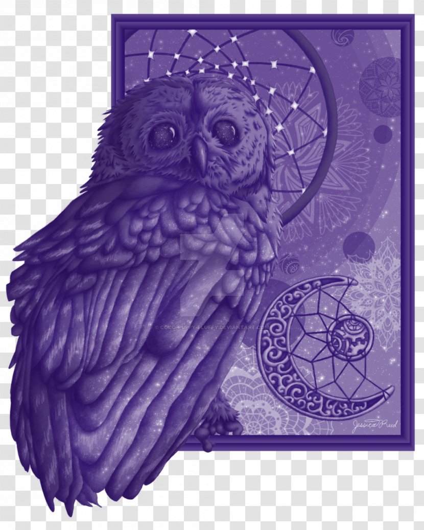 Owl Beak Bird Drawing Transparent PNG
