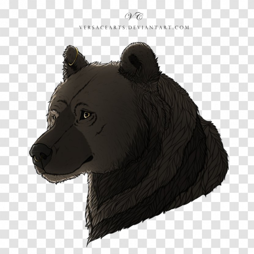 Bear Fur Snout Terrestrial Animal Transparent PNG