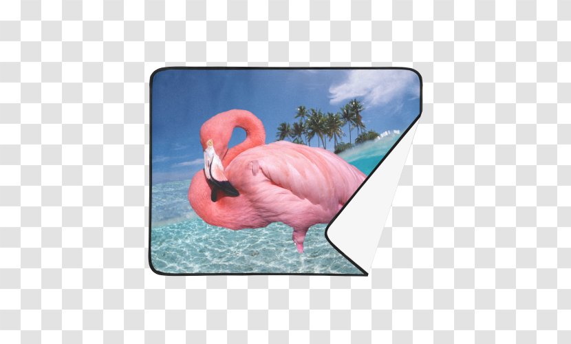 Vehicle License Plates Motor Registration Bird Florida - Flamingo - Beach Mat Transparent PNG