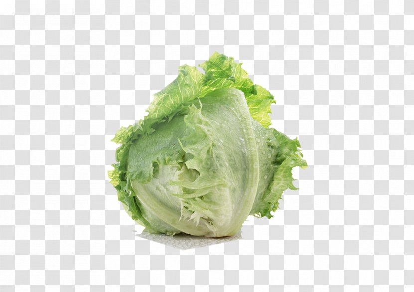 Lettuce Sandwich Leaf Vegetable Salad - Green - Food Cabbage Transparent PNG