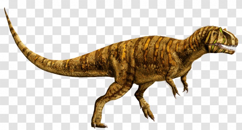 Metriacanthosaurus Tyrannosaurus Universal Pictures Suchomimus Dimorphodon - Dinosaur Transparent PNG