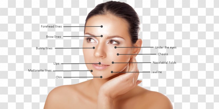 Injectable Filler Eyebrow Cheek Courtenay Cosmetic Clinic Face - Skin - Treatment Transparent PNG