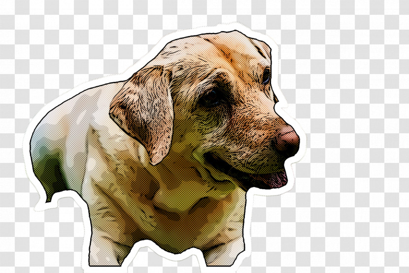 Dog Rhodesian Ridgeback Sporting Group Labrador Retriever Hound Transparent PNG