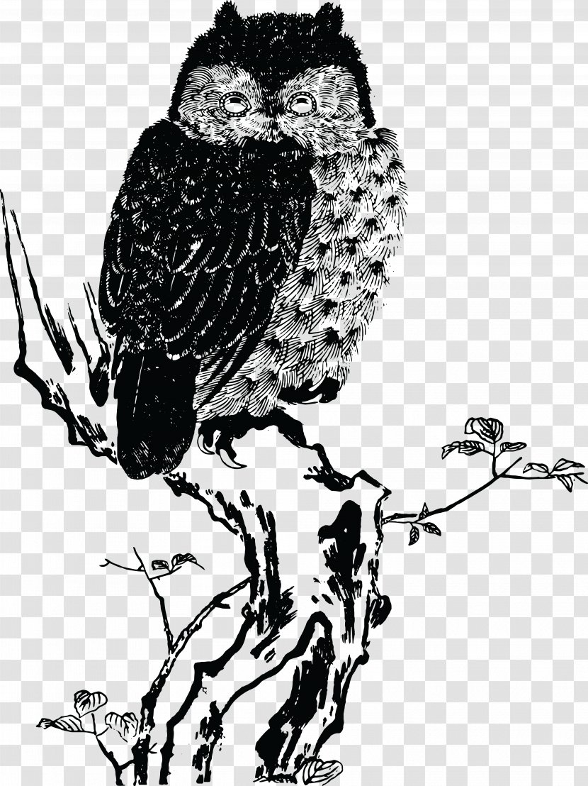 Japanese Art Painting Woodblock Printing In Japan - Owls Transparent PNG