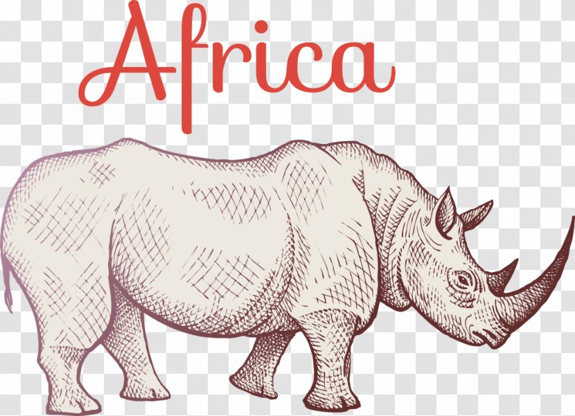 Rhinoceros Giraffe Hippopotamus African Elephant - Snout - Vector Cartoon Rhino Transparent PNG