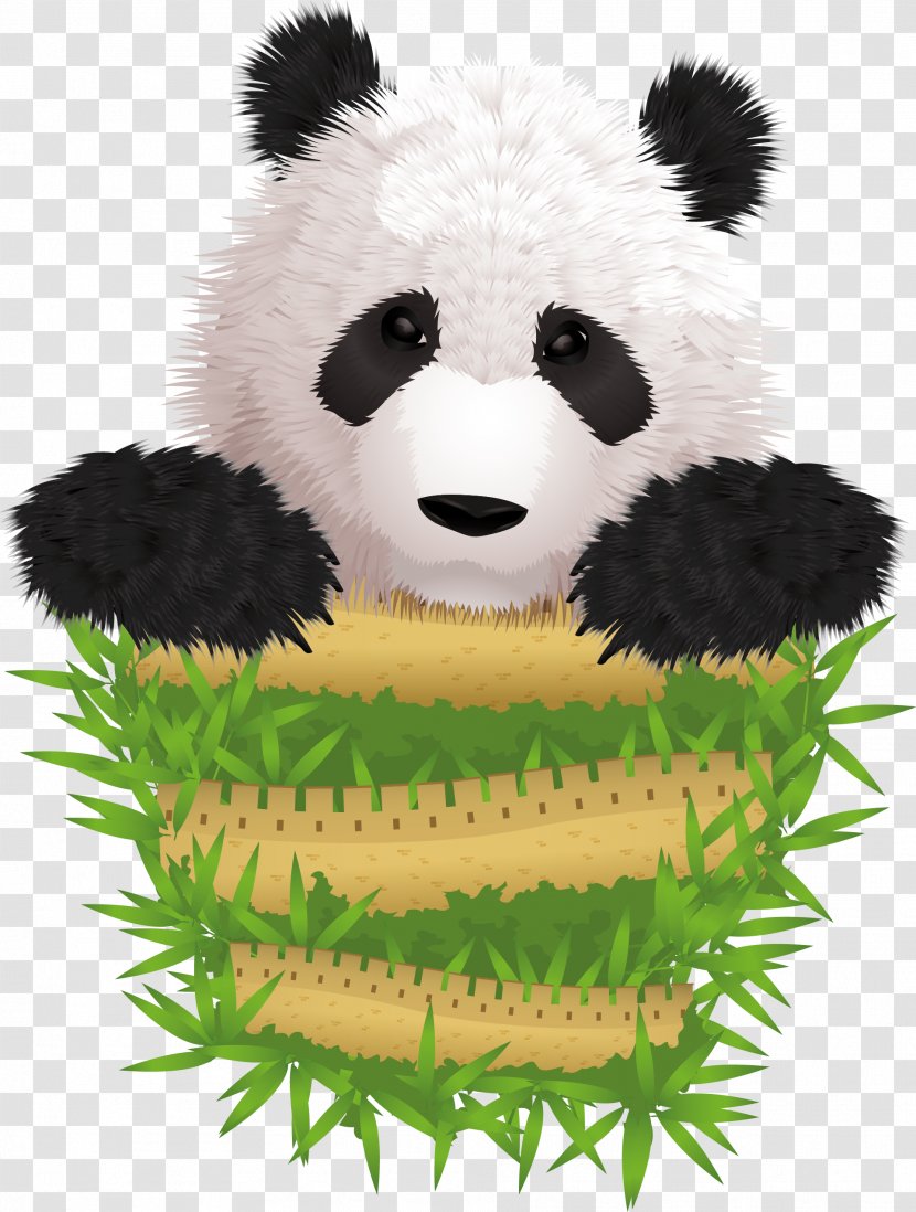 Giant Panda Cuteness Illustration - Drawing - Vector Cute Rare Transparent PNG