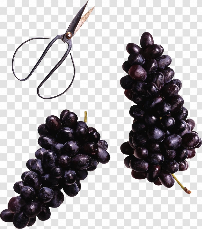 Wine Grapevines Blackcurrant Food - Grape Transparent PNG