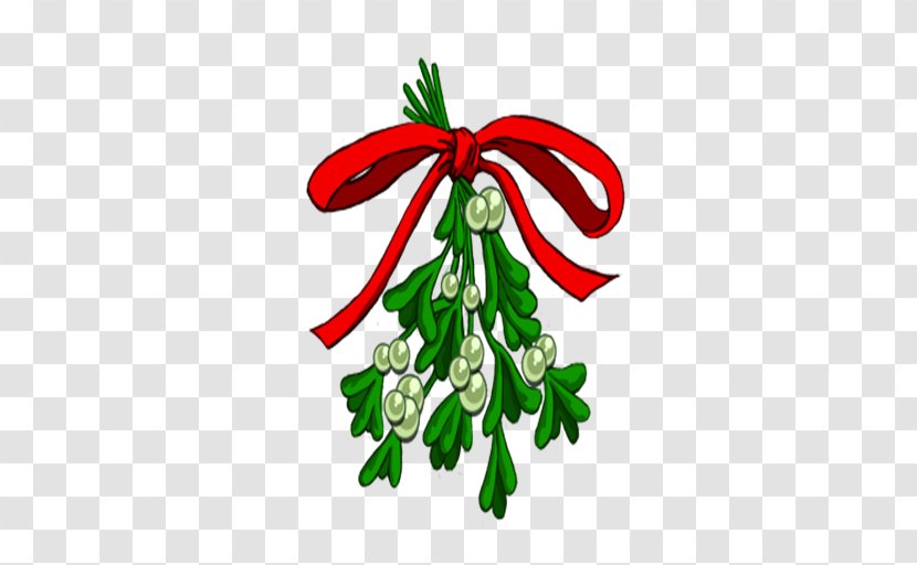 Christmas Decoration - Ornament - Conifer Holiday Transparent PNG