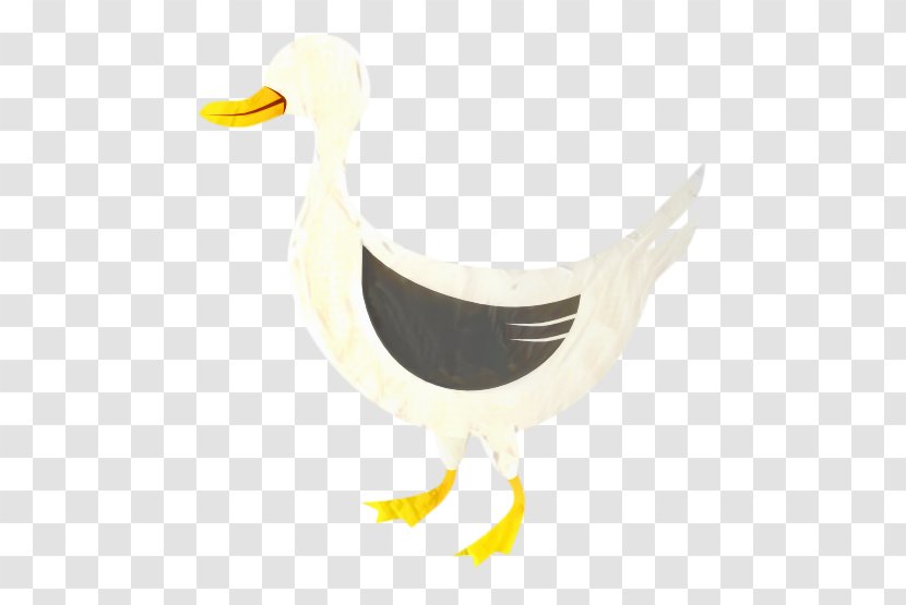 Water Cartoon - Seabird - Gull Ducks Geese And Swans Transparent PNG