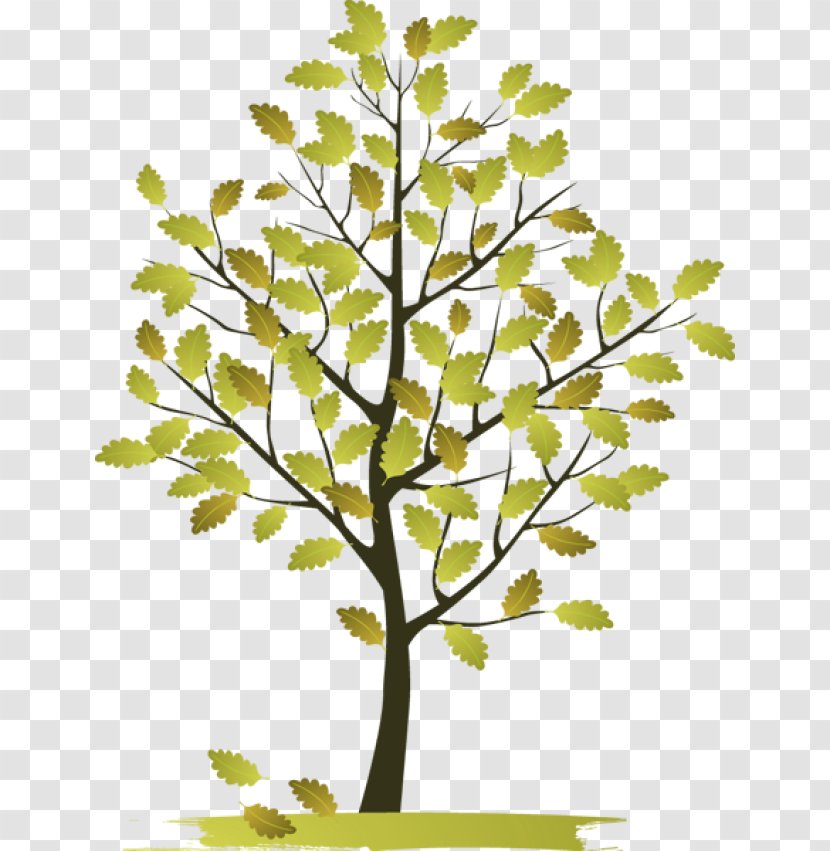 Tree Clip Art - Nature - Plant Transparent PNG