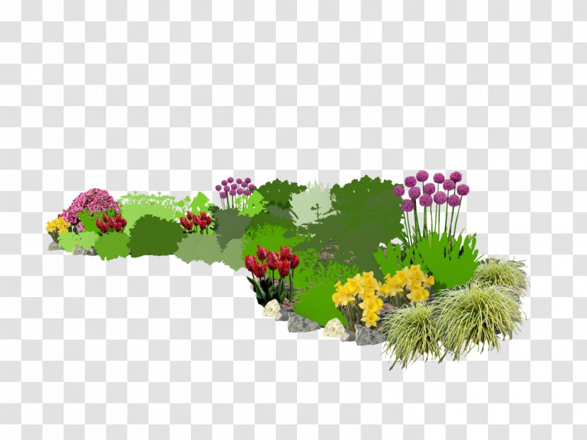 Bedding Floral Design Flowerpot Annual Plant Lawn - Grass - Efekt Transparent PNG