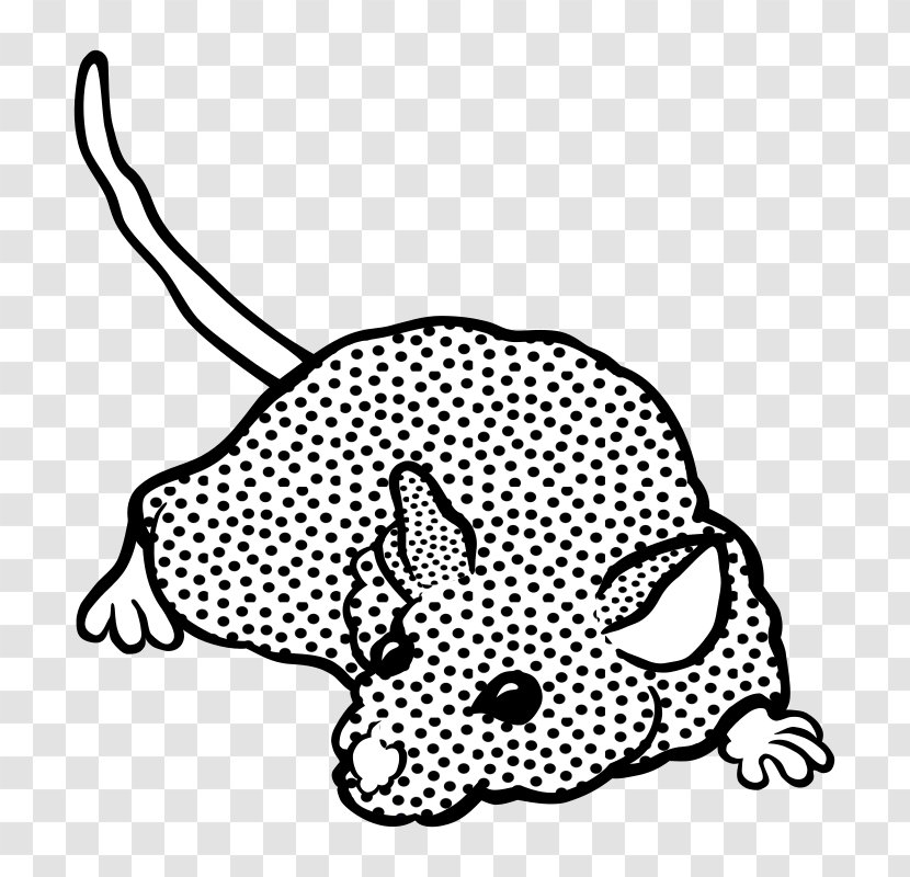 Black And White Computer Mouse Drawing Clip Art - Cat Like Mammal Transparent PNG
