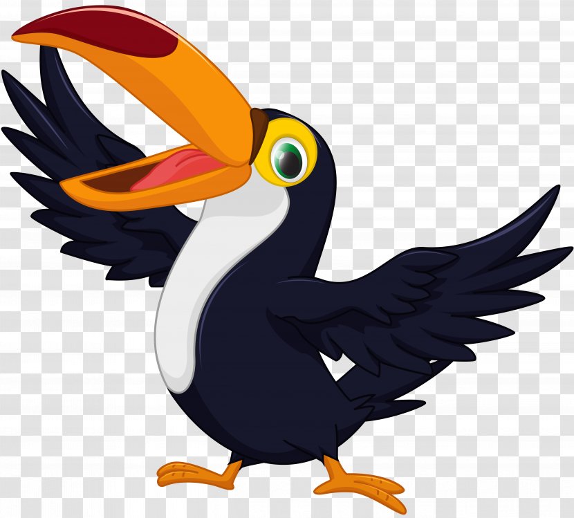 Toucan Vector Graphics Clip Art Image Drawing - Seabird - Baby Pigeon Transparent PNG