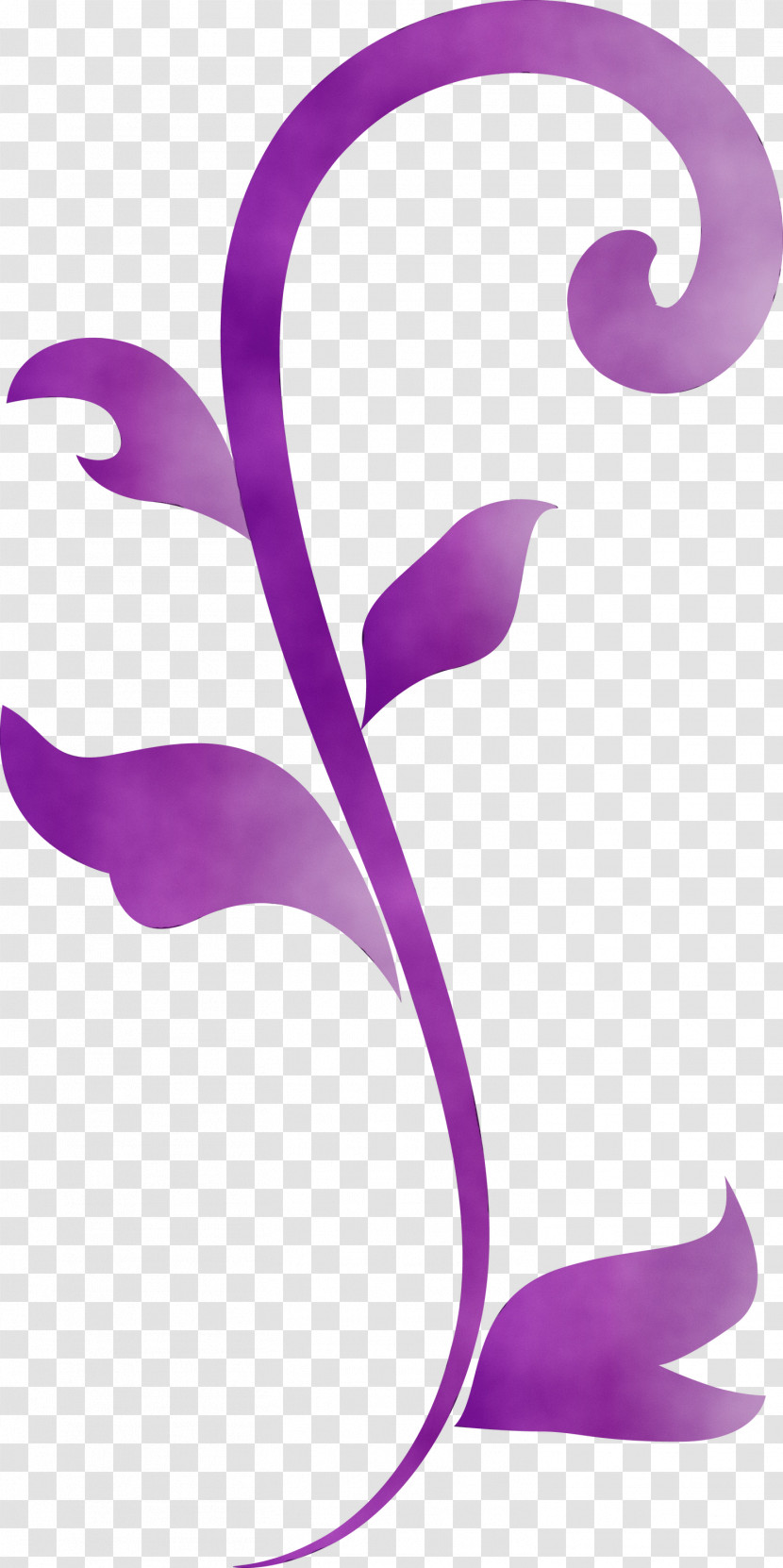 Violet Purple Lilac Magenta Plant Transparent PNG